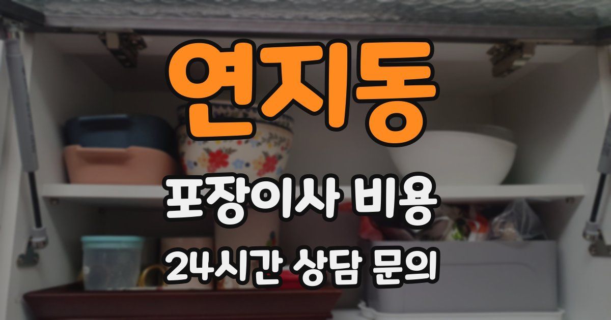 연지동 포장이사 비용