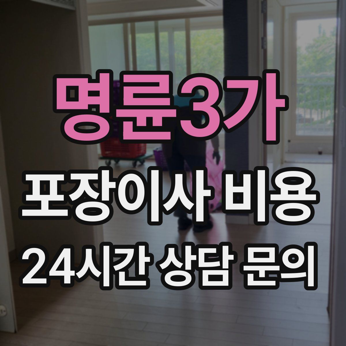 명륜3가 포장이사 비용