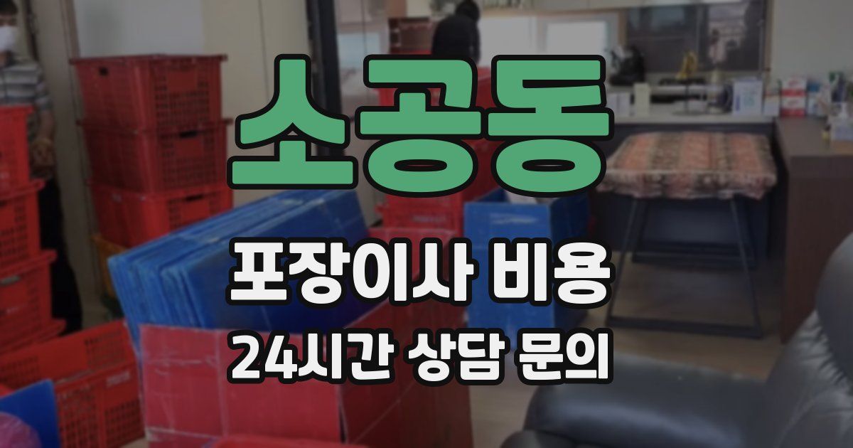 소공동 포장이사 비용