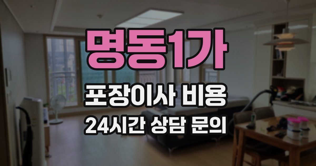 명동1가 포장이사 비용