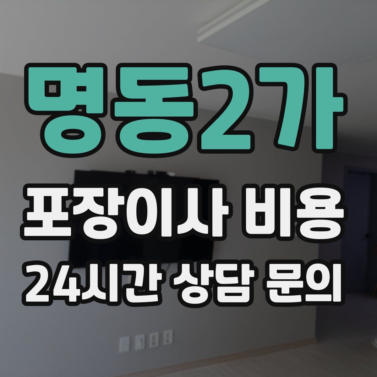 명동2가 포장이사 비용