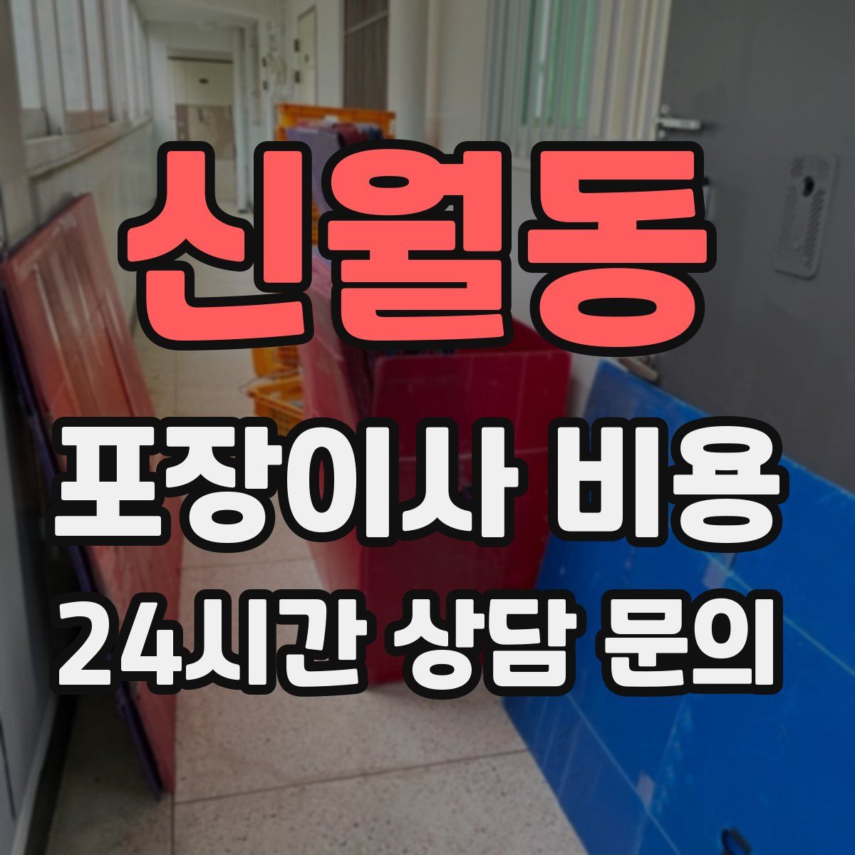 신월동 포장이사 비용