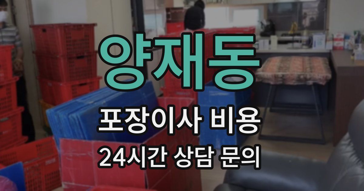 양재동 포장이사 비용