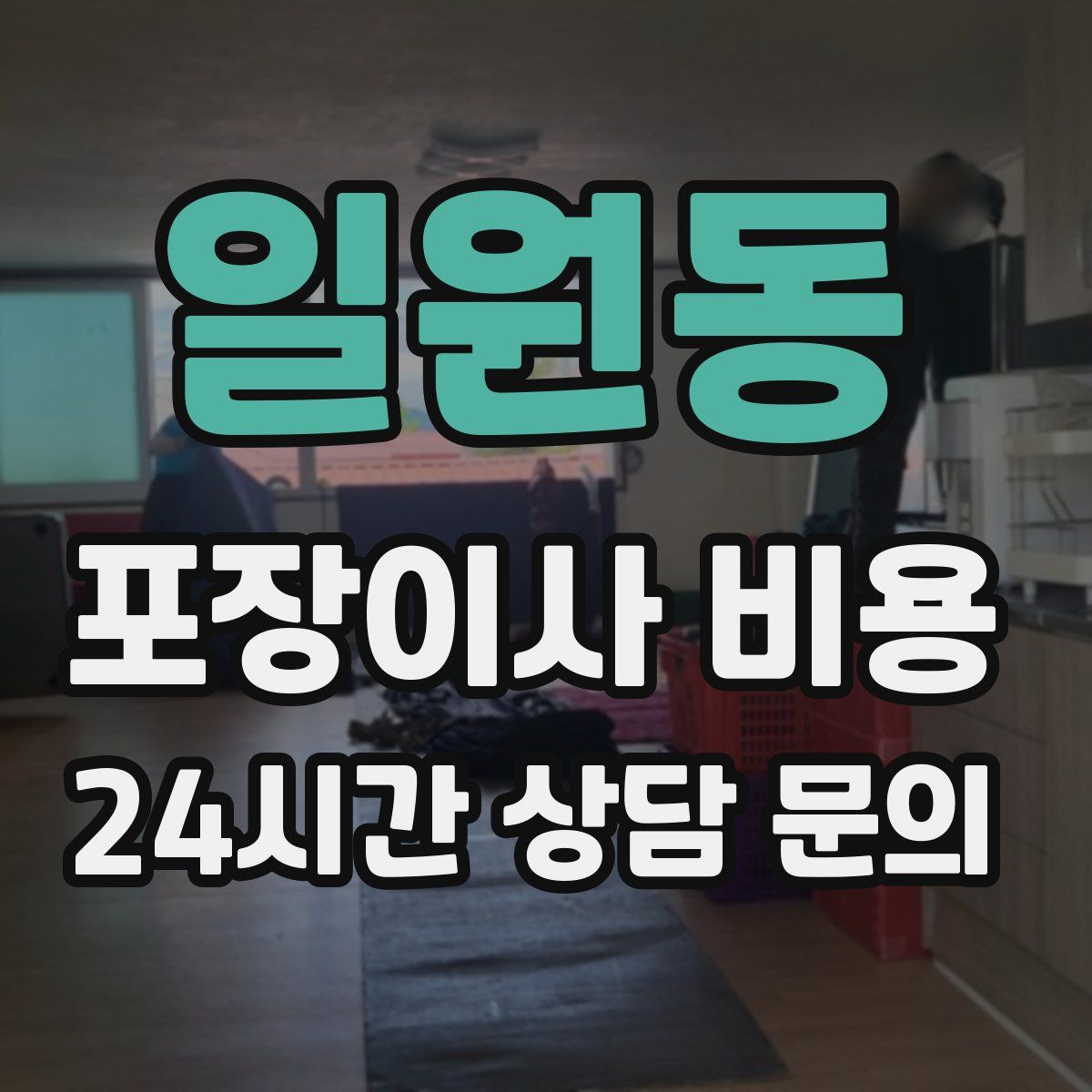 일원동 포장이사 비용