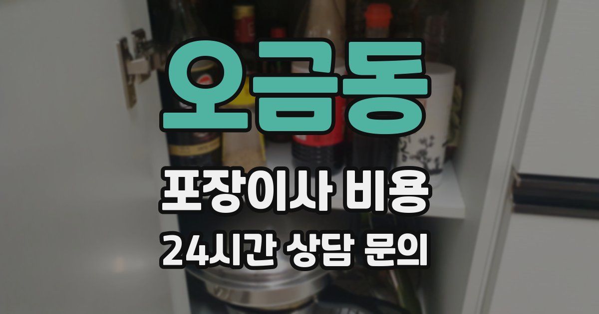 오금동 포장이사 비용