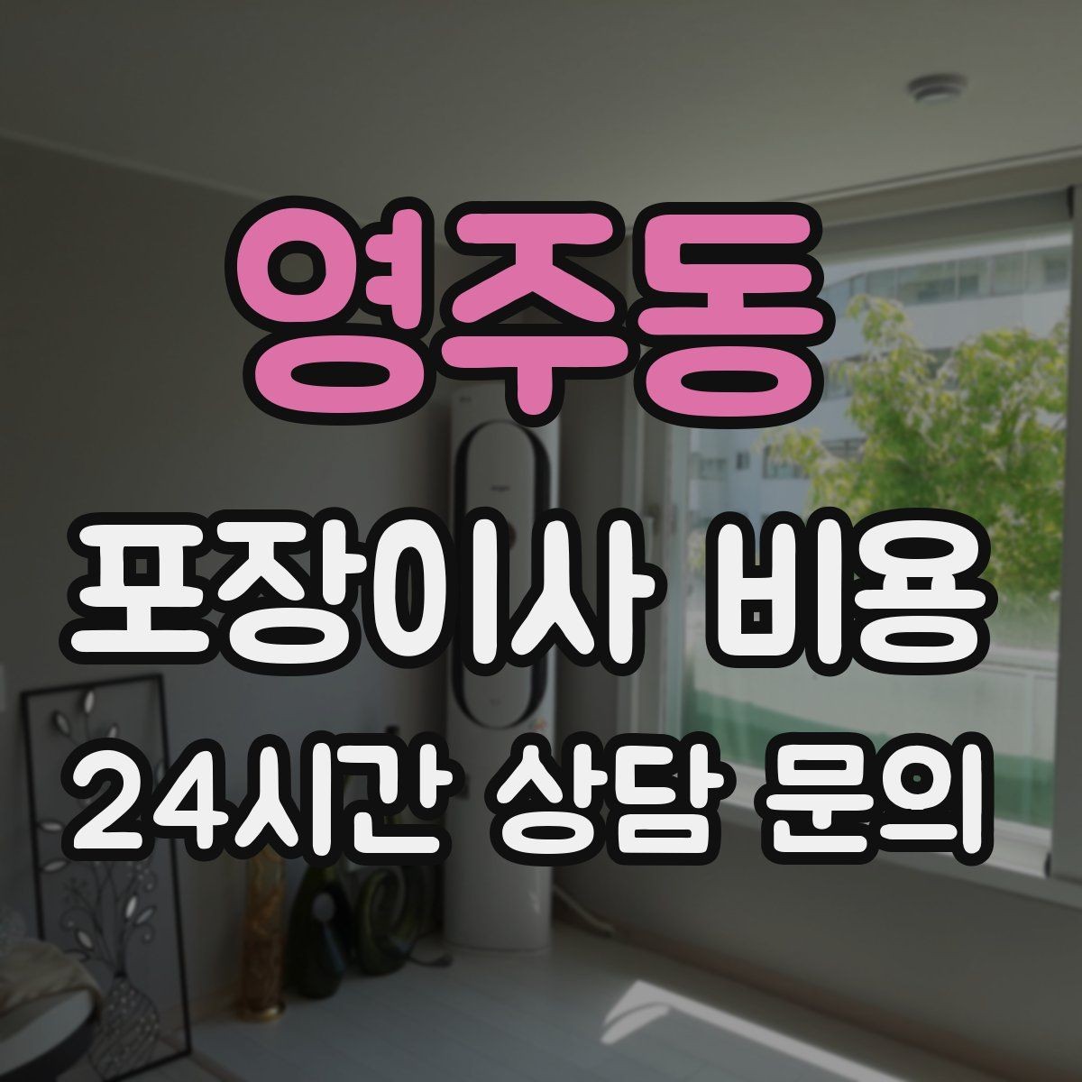 영주동 포장이사 비용 옷걸이박스 제공 여부가 중요한 이유
