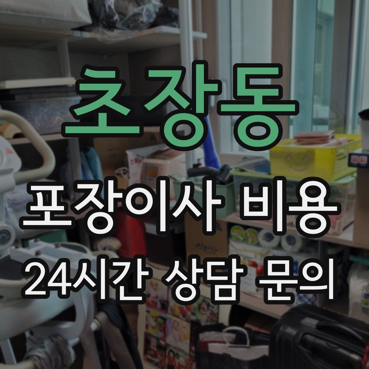 초장동 포장이사 비용 어항·대형 화분이 있을 때 견적 포인트