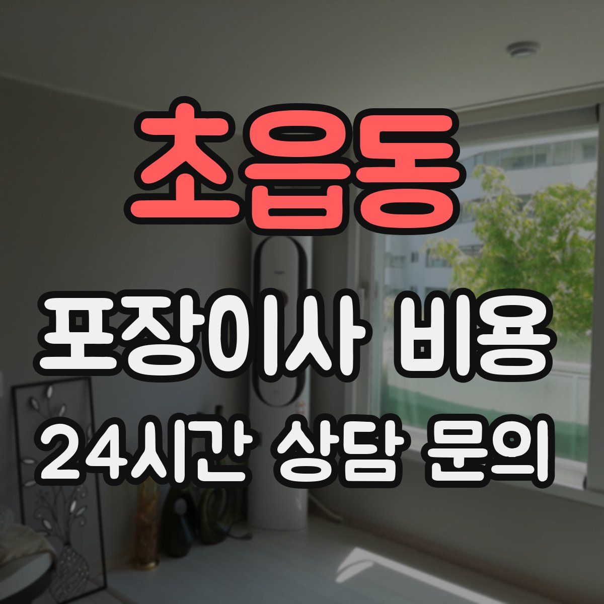 초읍동 포장이사 비용