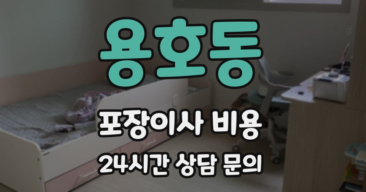 용호동 포장이사 비용