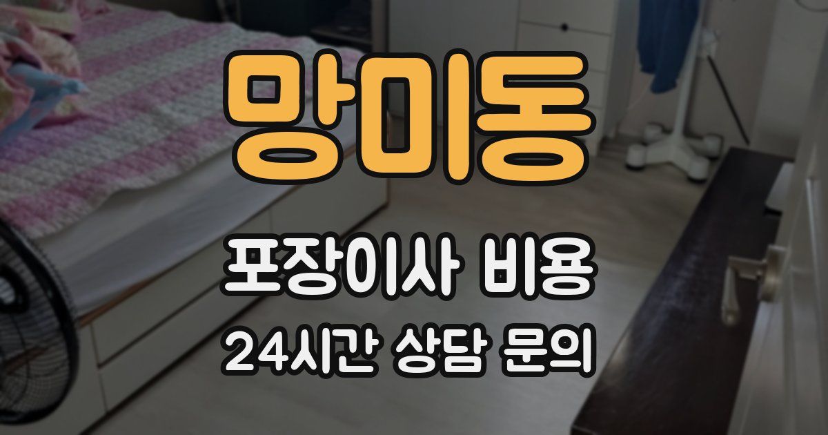 망미동 포장이사 비용