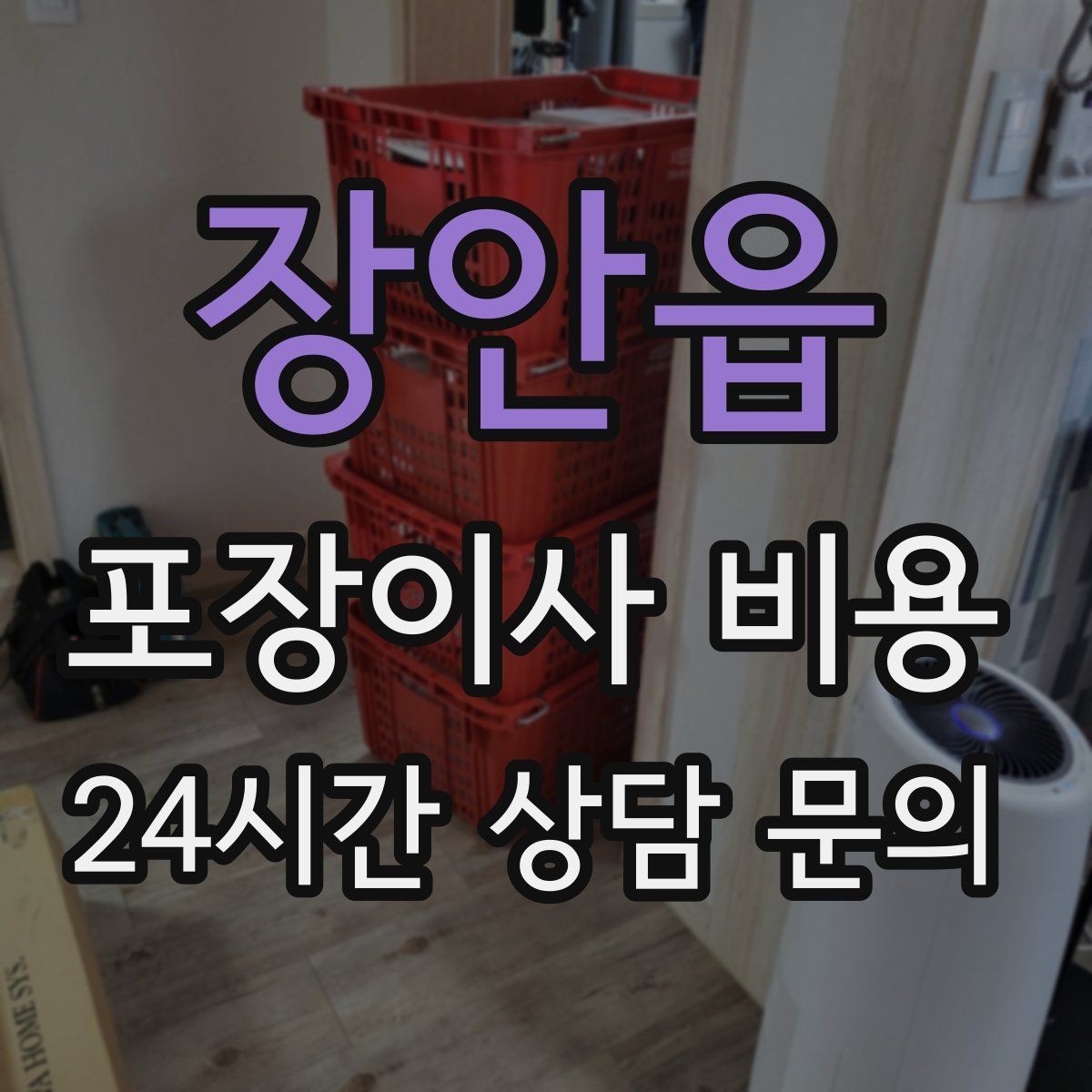 장안읍 포장이사 비용 반려동물이 있으면 준비가 달라지는 이유