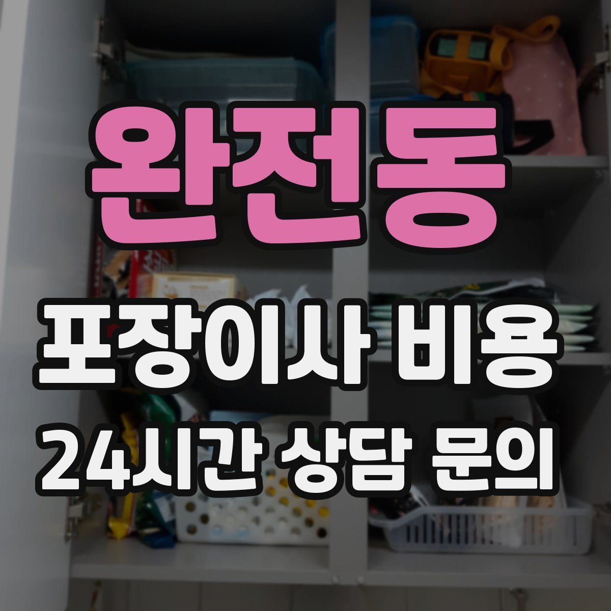 완전동 포장이사 비용