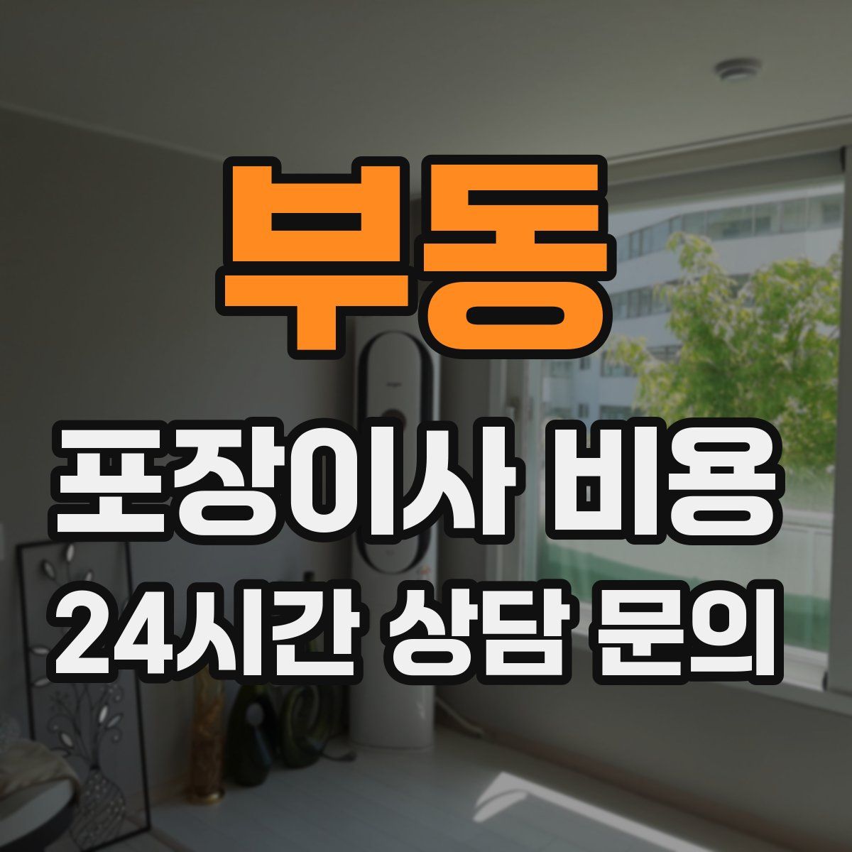 부동 포장이사 비용