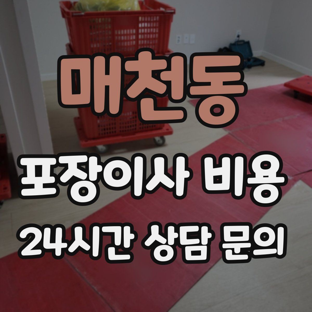 매천동 포장이사 비용 반려동물이 있으면 준비가 달라지는 이유