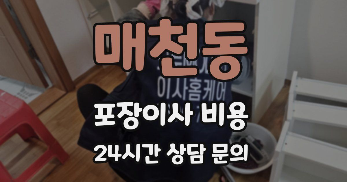 매천동 포장이사 비용