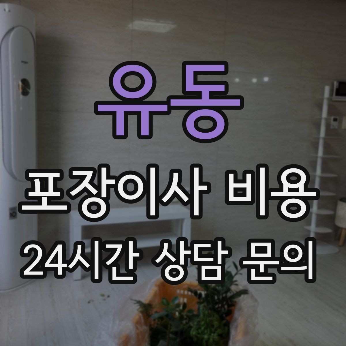 유동 포장이사 비용 당일 비가 오면 비용이 달라질까