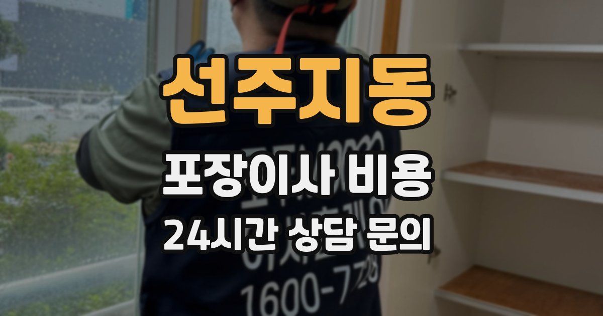 선주지동 포장이사 비용