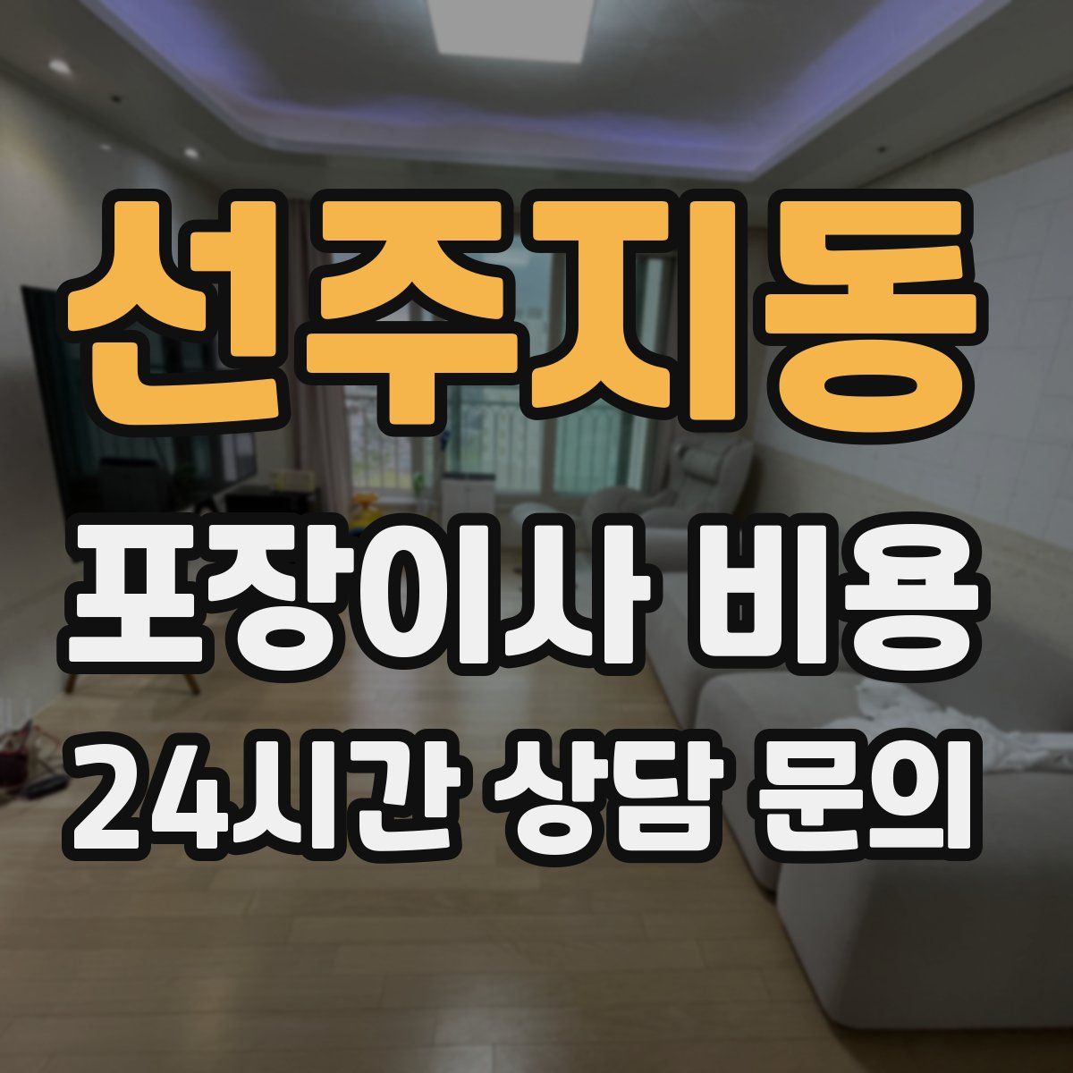 선주지동 포장이사 비용