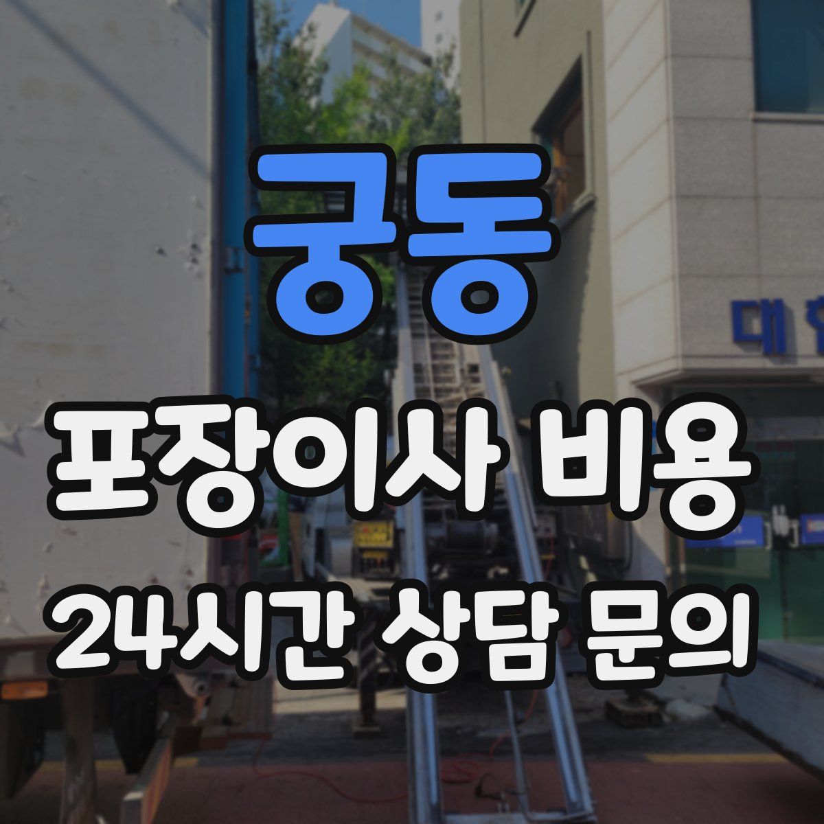 궁동 포장이사 비용