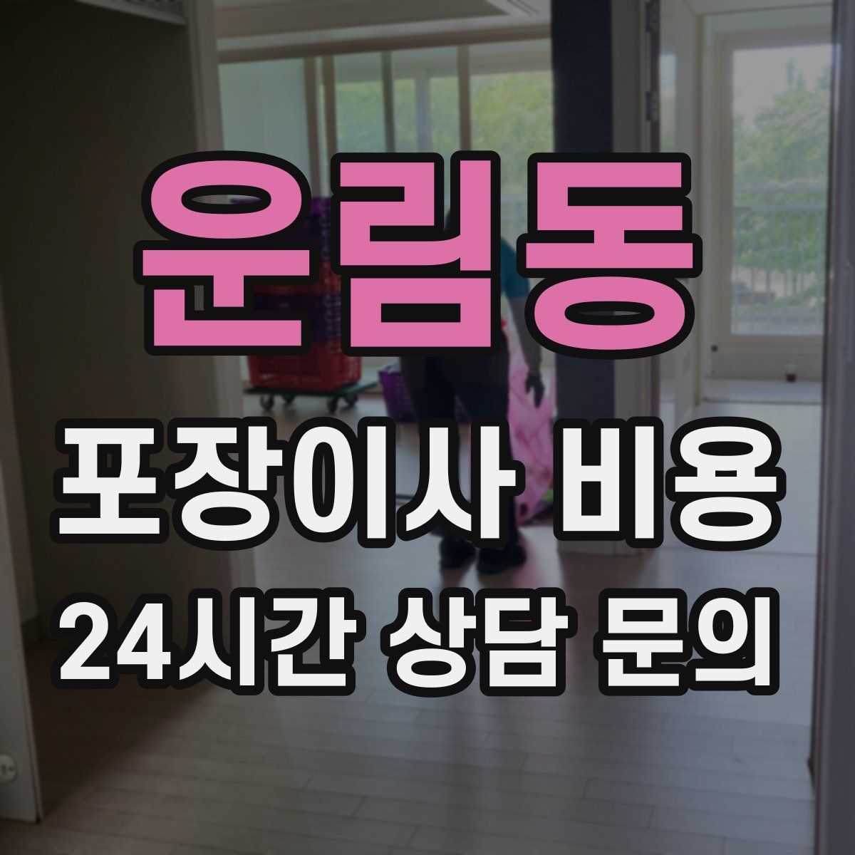 운림동 포장이사 비용