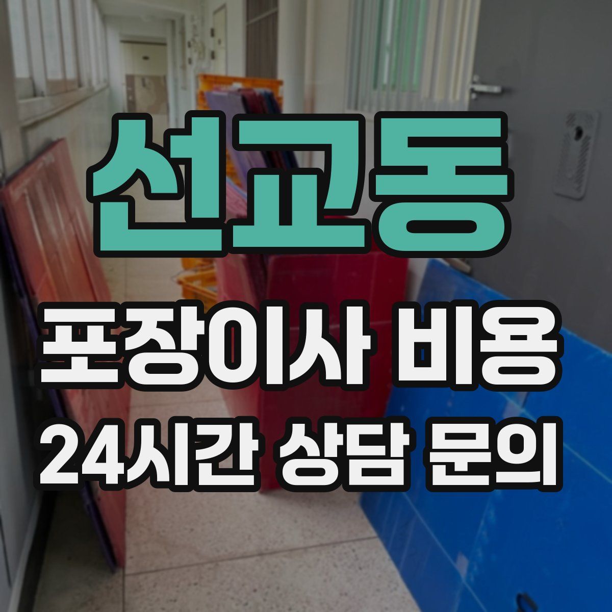 선교동 포장이사 비용