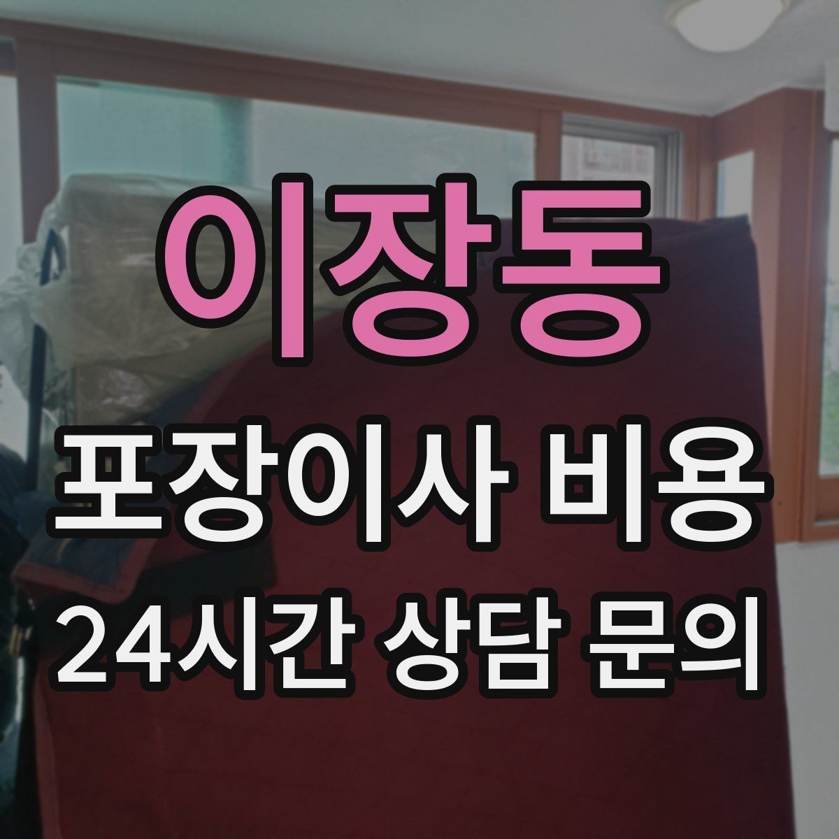 이장동 포장이사 비용 전입신고·주소 변경과 이사 일정 맞추기