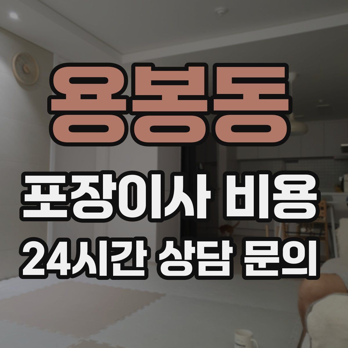 용봉동 포장이사 비용 반려동물 동선 확보로 사고 줄이는 방법