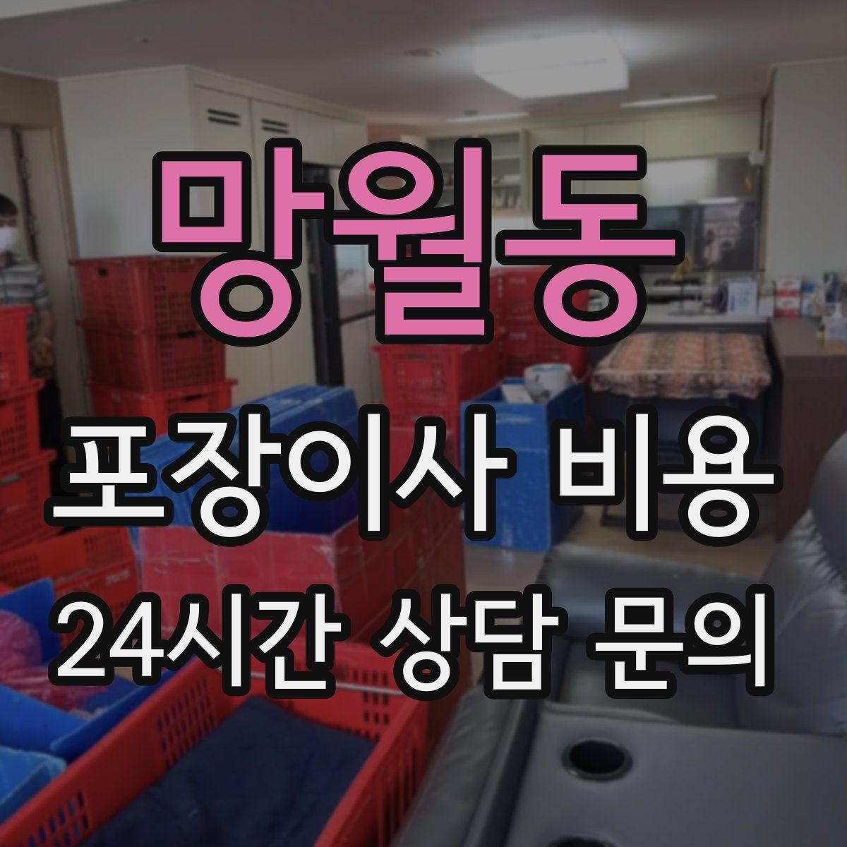 망월동 포장이사 비용