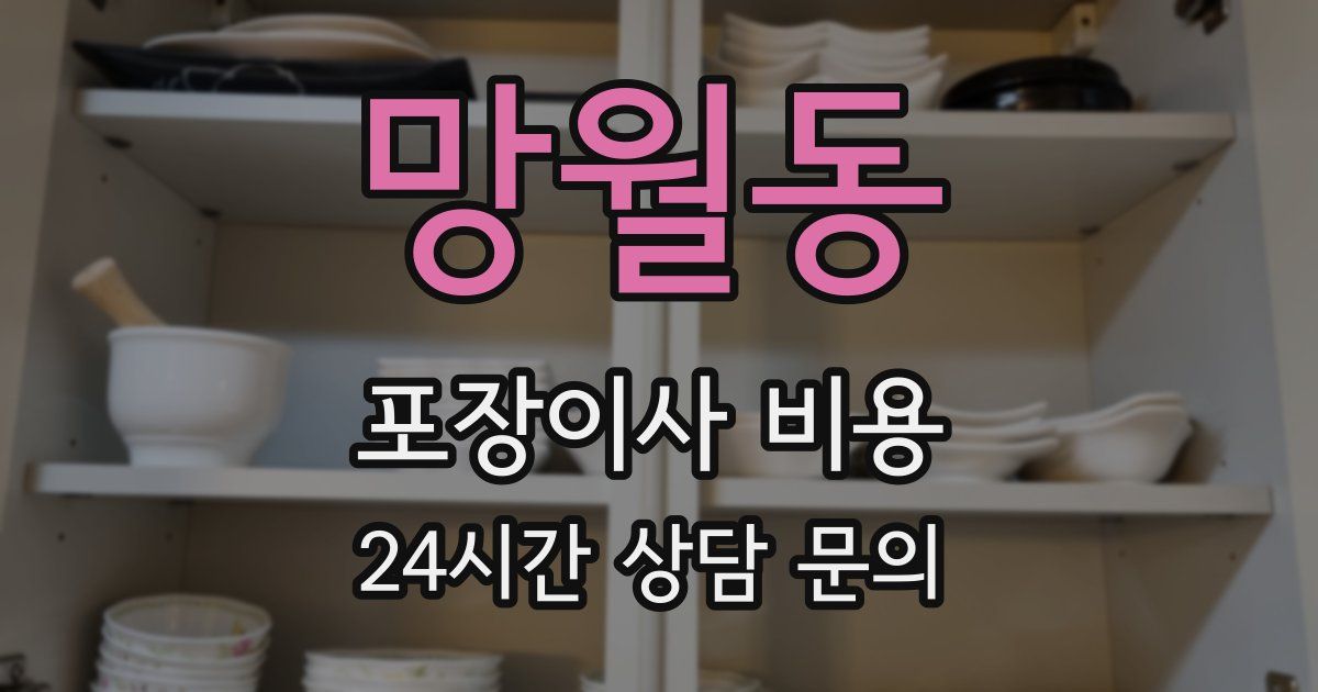 망월동 포장이사 비용
