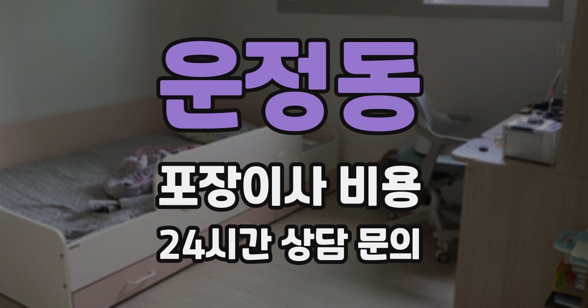 운정동 포장이사 비용