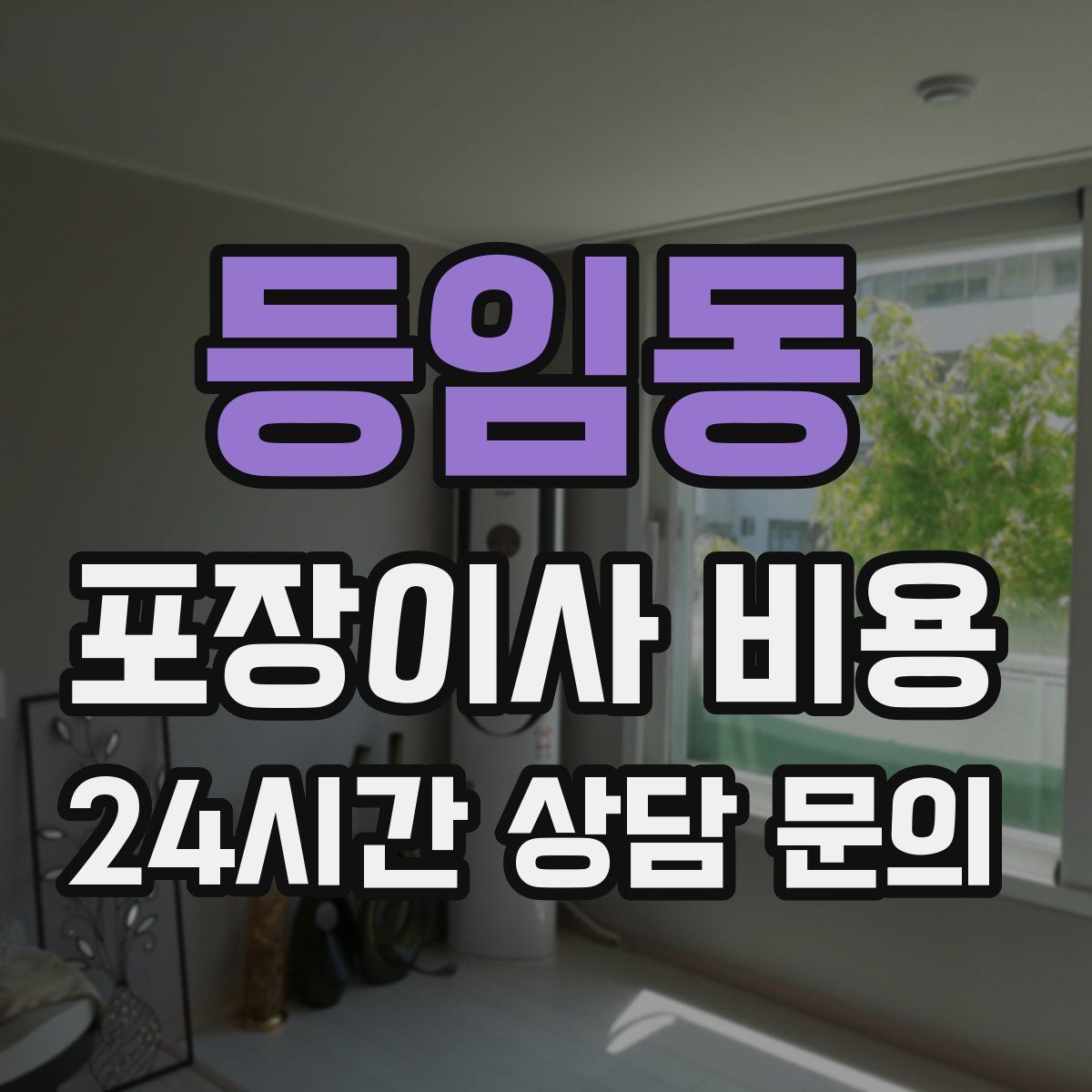 등임동 포장이사 비용