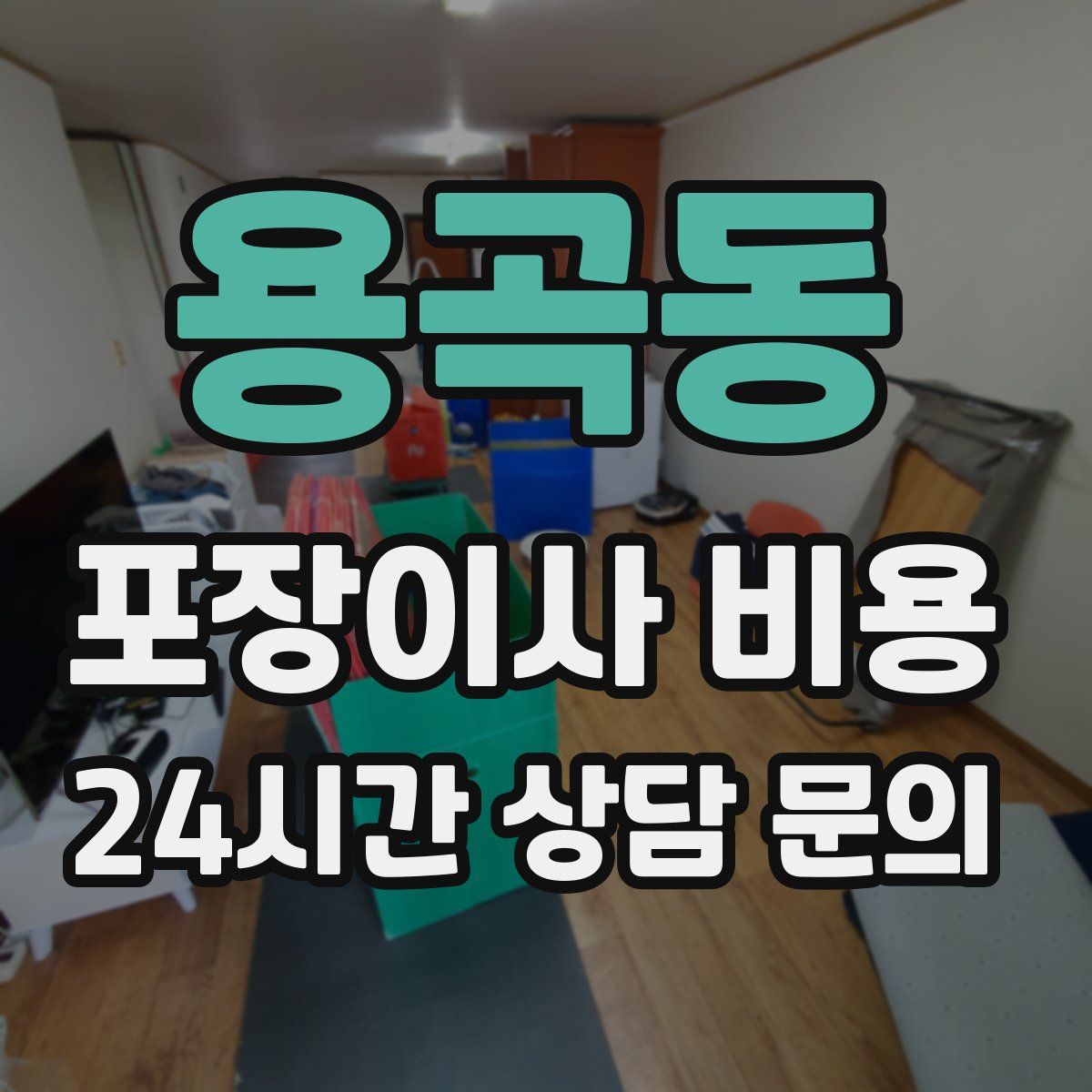 용곡동 포장이사 비용