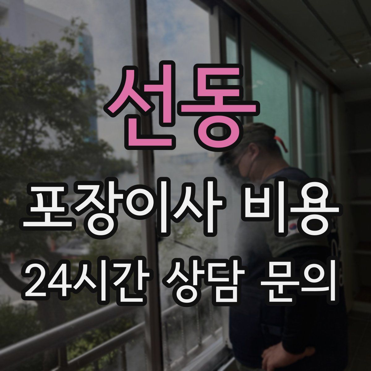 선동 포장이사 비용