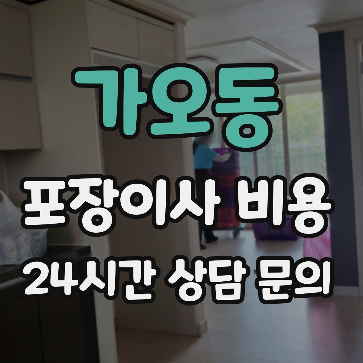 가오동 포장이사 비용 원룸 이사도 포장이사가 필요한 경우