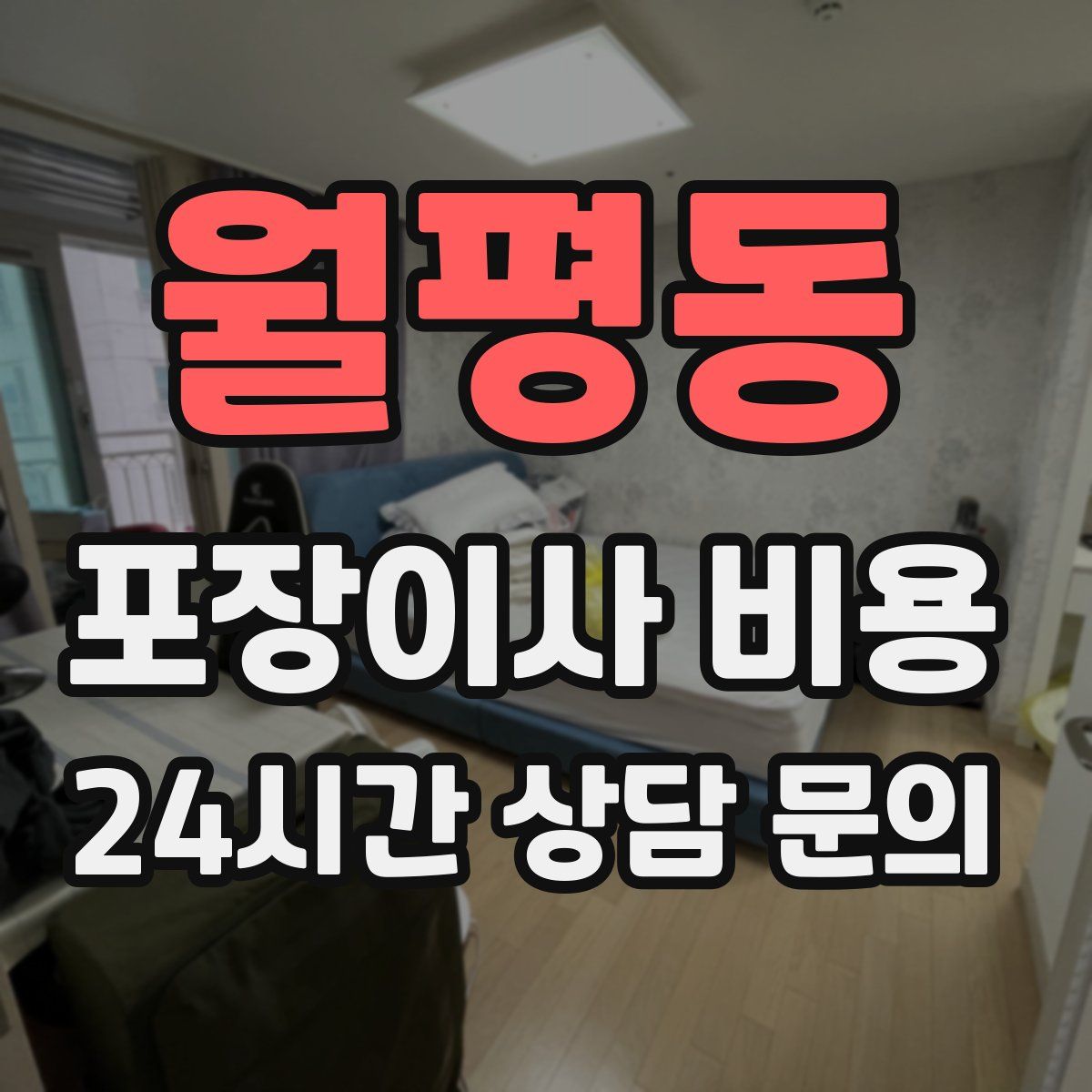 월평동 포장이사 비용