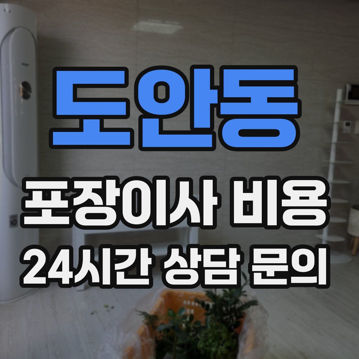 도안동 포장이사 비용