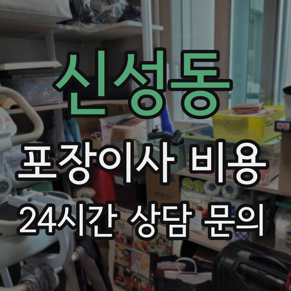 신성동 포장이사 비용