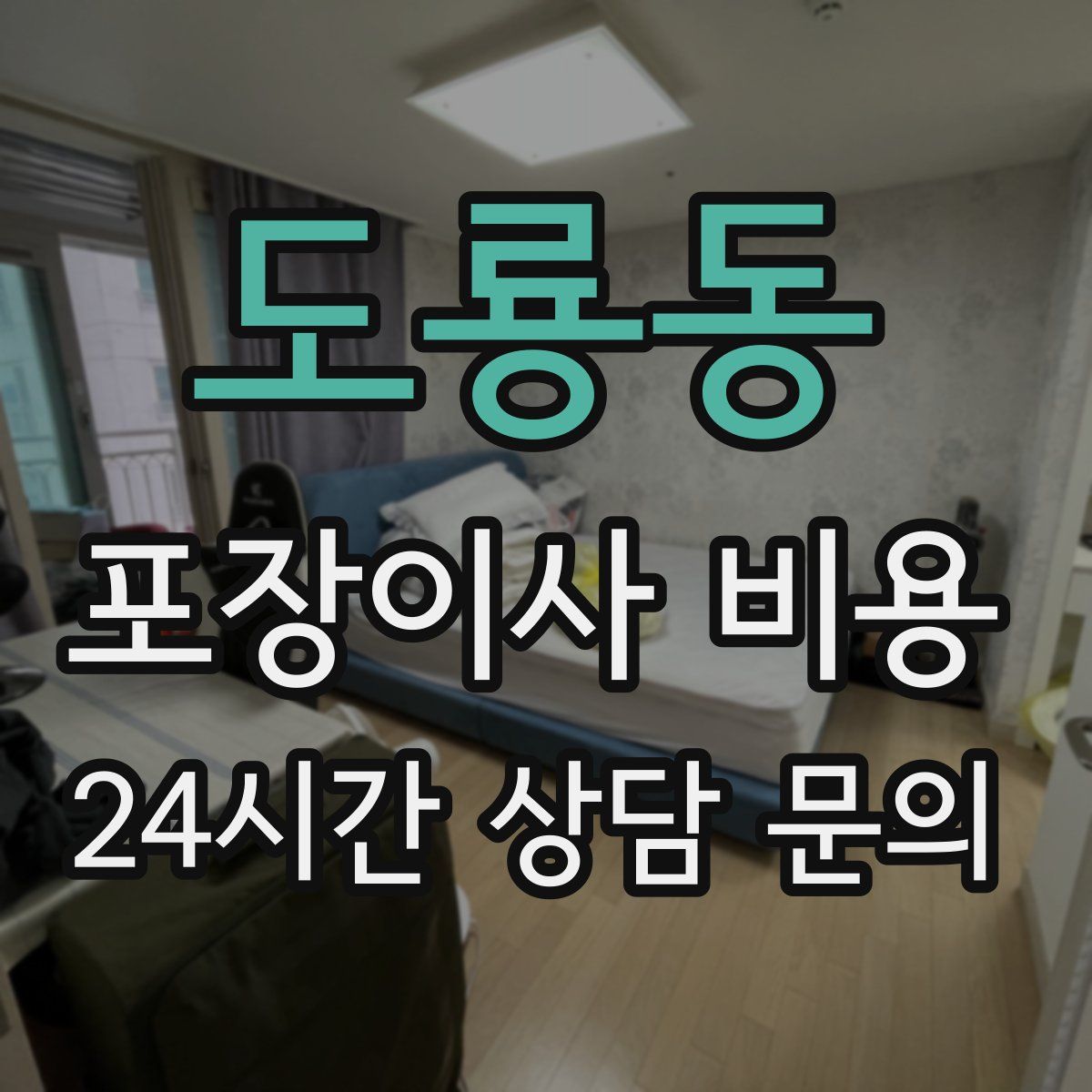 도룡동 포장이사 비용