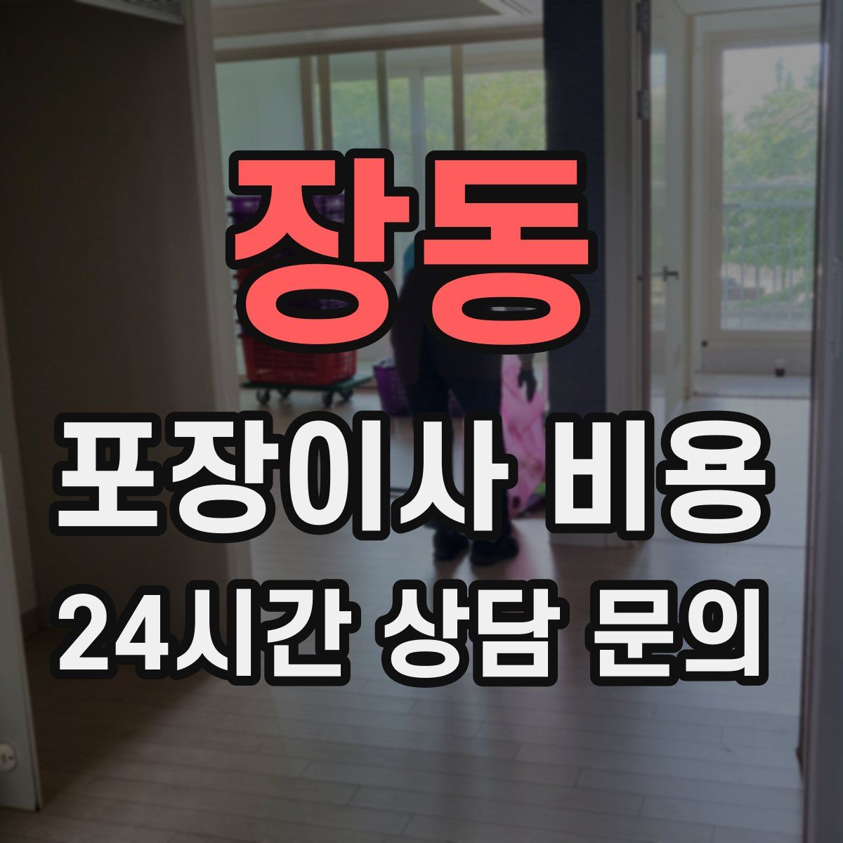 장동 포장이사 비용