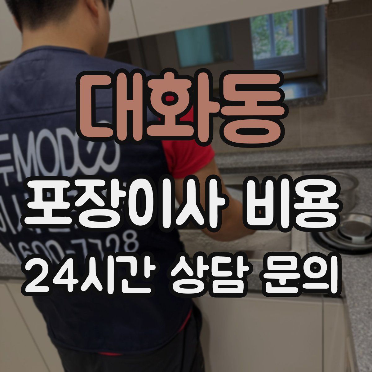 대화동 포장이사 비용