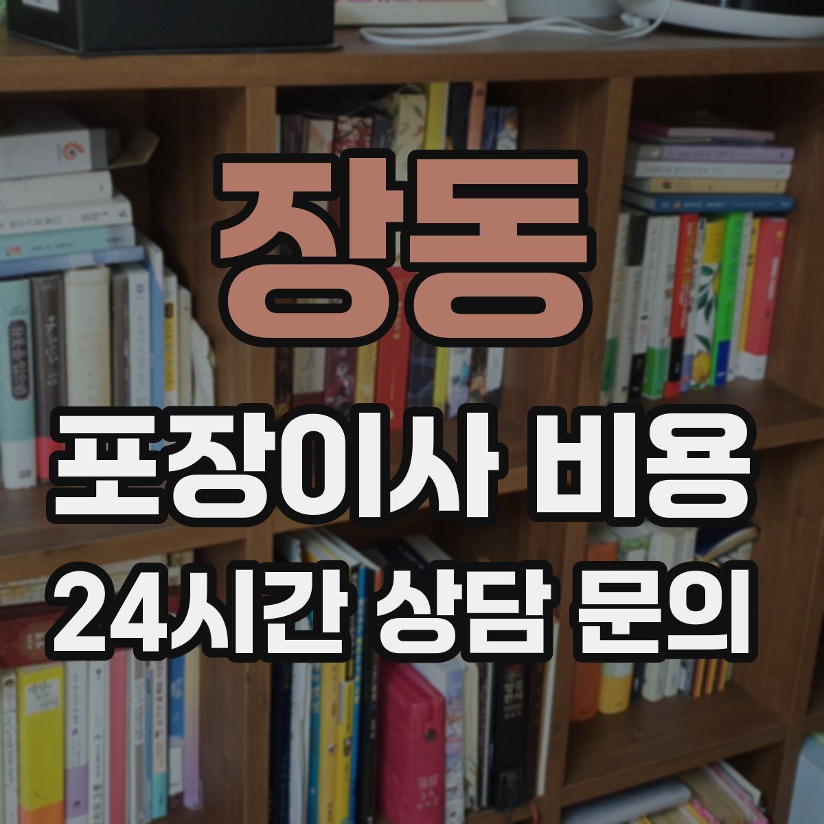 장동 포장이사 비용