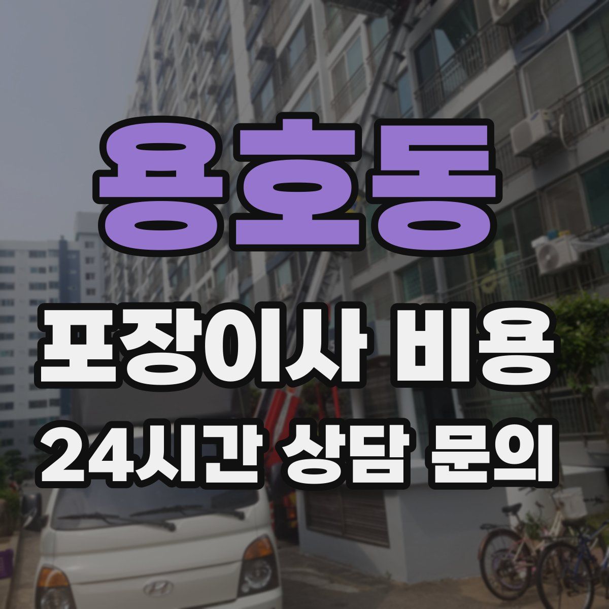 용호동 포장이사 비용