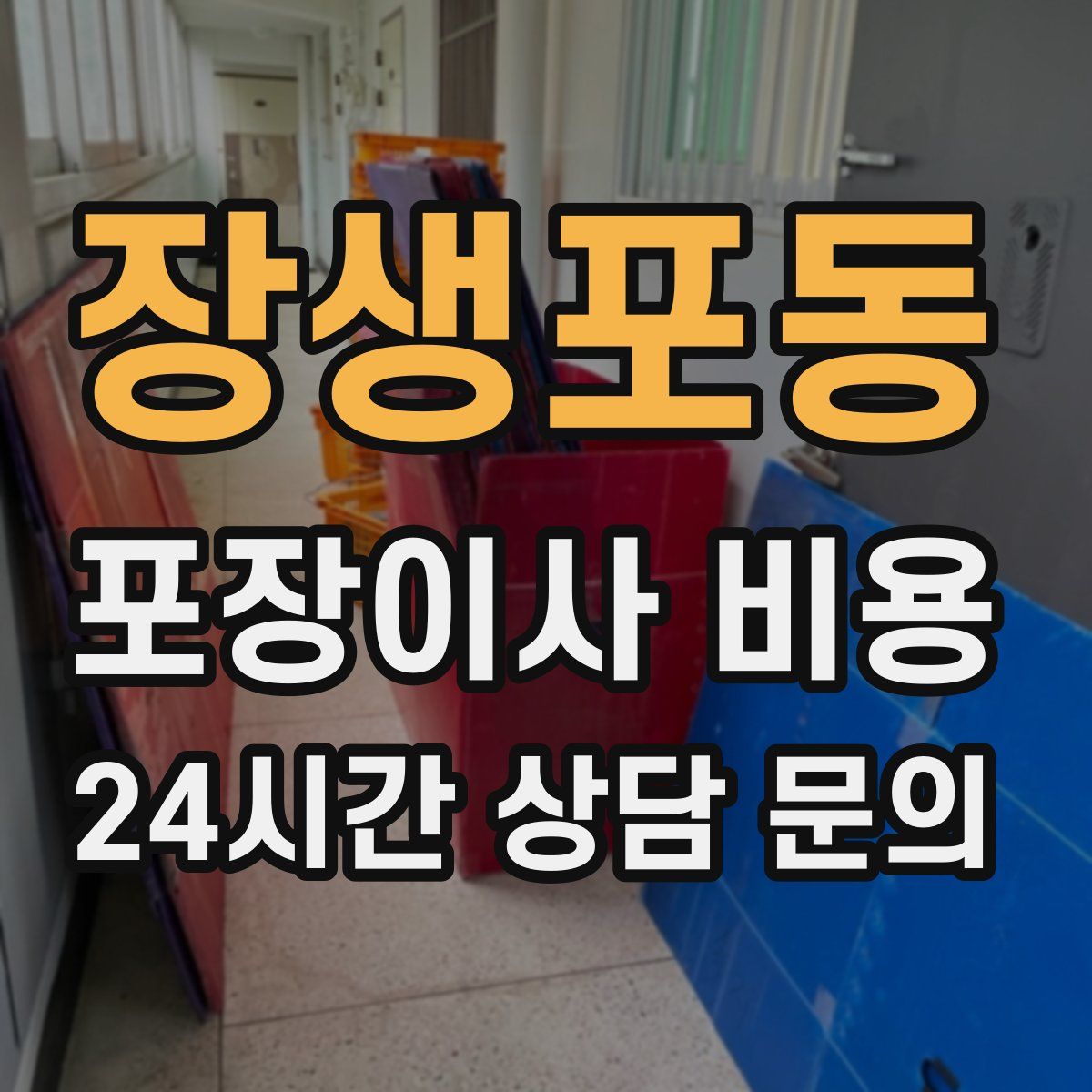 장생포동 포장이사 비용