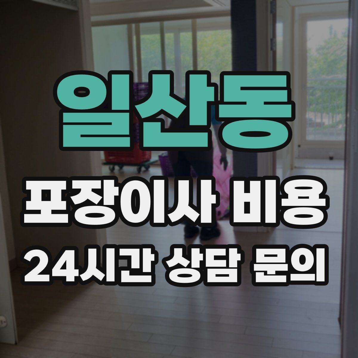 일산동 포장이사 비용