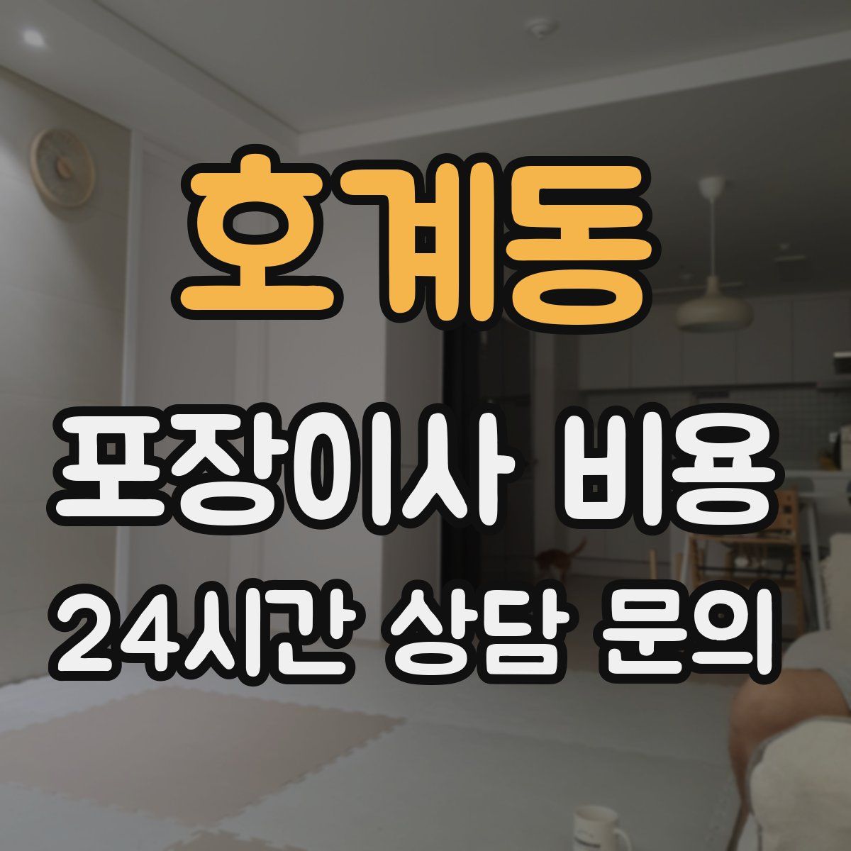 호계동 포장이사 비용