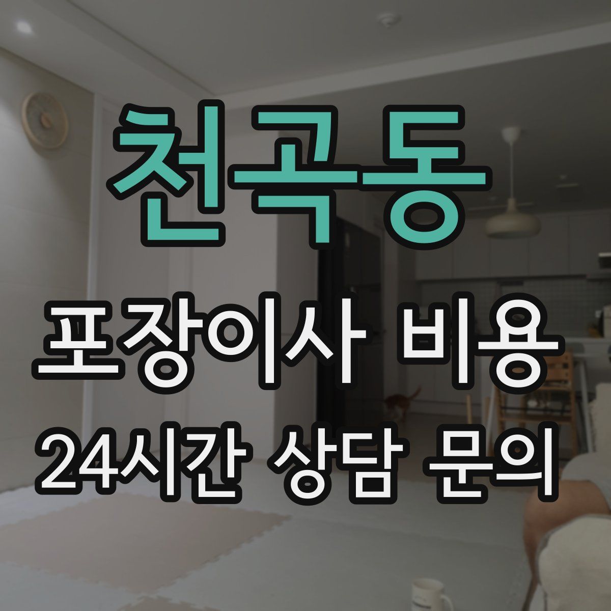 천곡동 포장이사 비용