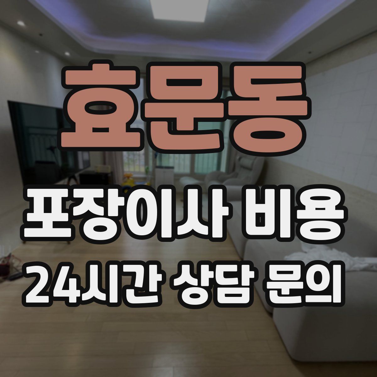 효문동 포장이사 비용