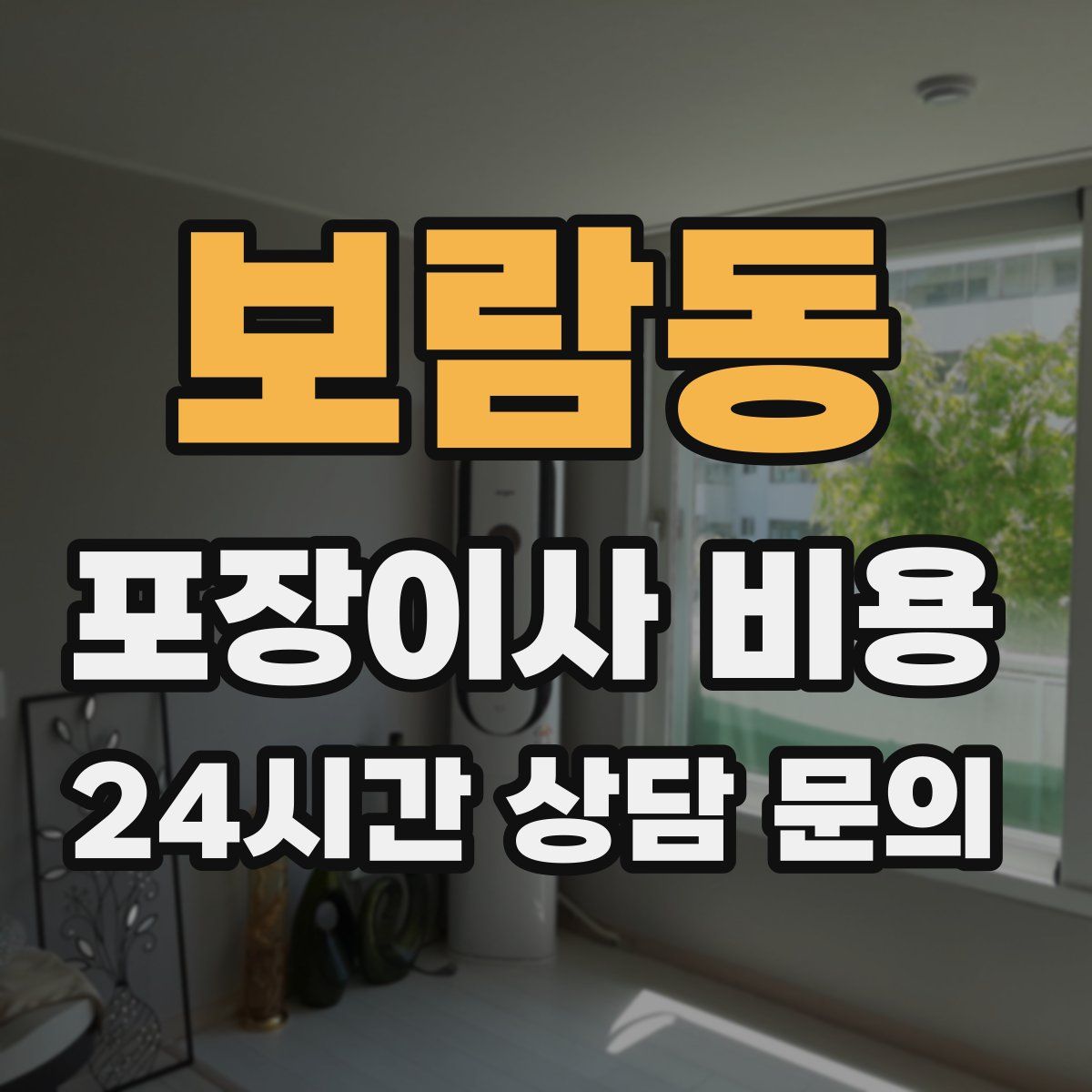 보람동 포장이사 비용