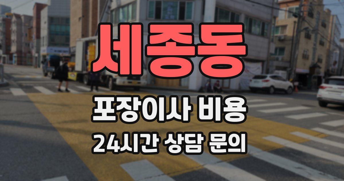 세종동 포장이사 비용