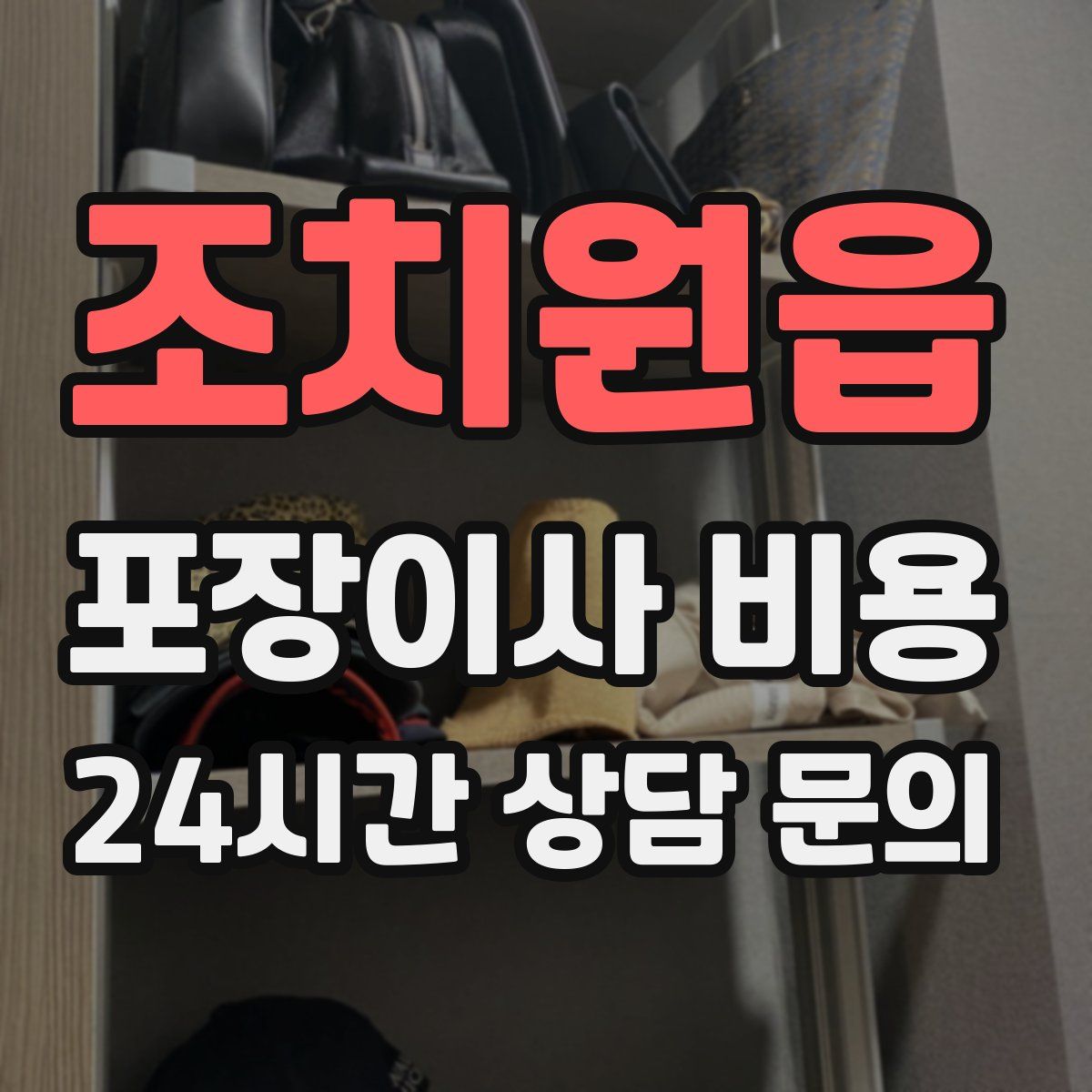 조치원읍 포장이사 비용